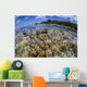 Soft Corals Grow Edge Wall Decal Design 2