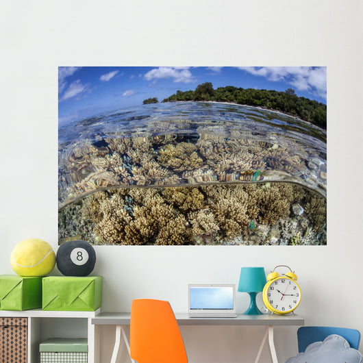 Soft Corals Grow Edge Wall Decal Design 2