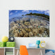 Soft Corals Grow Edge Wall Decal Design 2