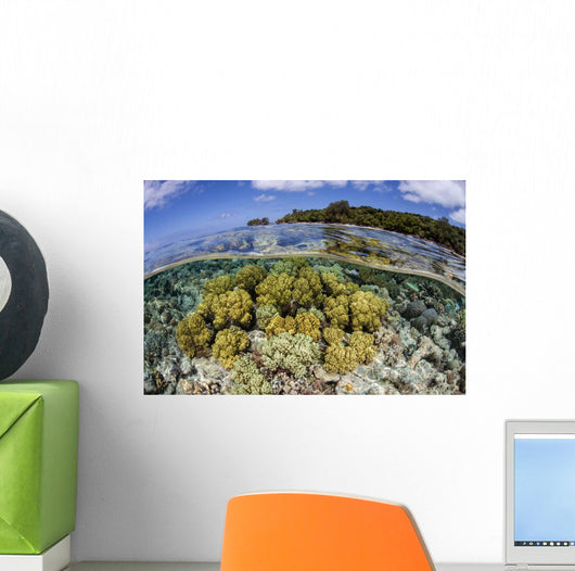 Soft Corals Grow Edge Wall Decal Design 1