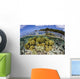 Soft Corals Grow Edge Wall Decal Design 1