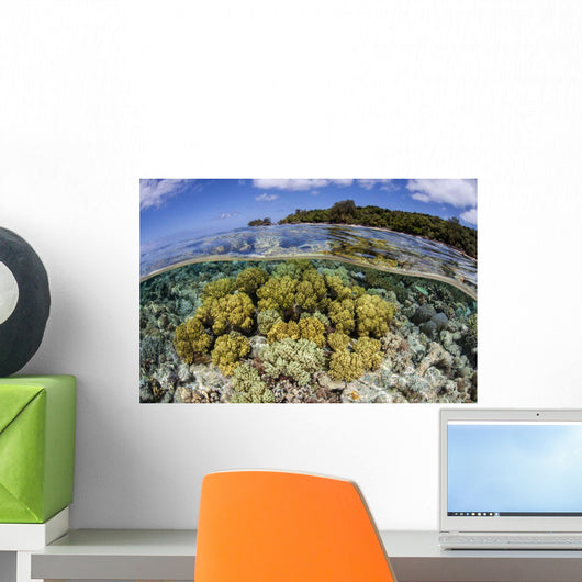 Soft Corals Grow Edge Wall Decal Design 1