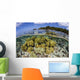 Soft Corals Grow Edge Wall Decal Design 1