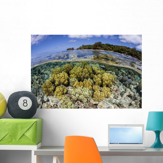 Soft Corals Grow Edge Wall Decal Design 1