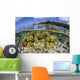 Soft Corals Grow Edge Wall Decal Design 1