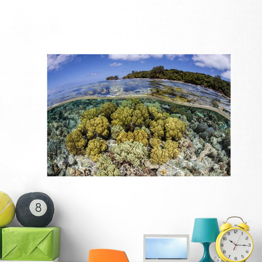 Soft Corals Grow Edge Wall Decal Design 1