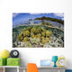 Soft Corals Grow Edge Wall Decal Design 1