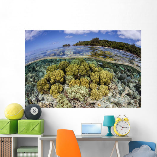Soft Corals Grow Edge Wall Decal Design 1