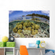 Soft Corals Grow Edge Wall Decal Design 1