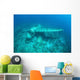 Japanese Jake Seaplane Seafloor Wall Decal Design 4