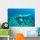 Japanese Jake Seaplane Seafloor Wall Decal Design 3