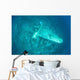 Japanese Jake Seaplane Seafloor Wall Decal Design 2