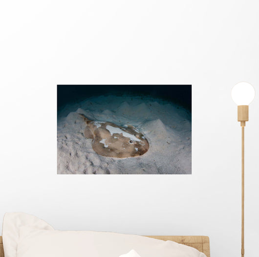 Electric Ray Seafloor Turneffe Wall Decal Design 7