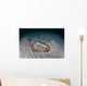 Electric Ray Seafloor Turneffe Wall Decal Design 7