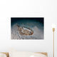 Electric Ray Seafloor Turneffe Wall Decal Design 7