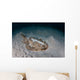 Electric Ray Seafloor Turneffe Wall Decal Design 7