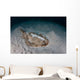 Electric Ray Seafloor Turneffe Wall Decal Design 7