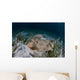 Electric Ray Seafloor Turneffe Wall Decal Design 6