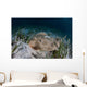 Electric Ray Seafloor Turneffe Wall Decal Design 6