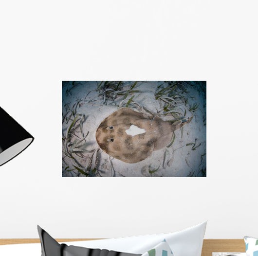 Electric Ray Seafloor Turneffe Wall Decal Design 5