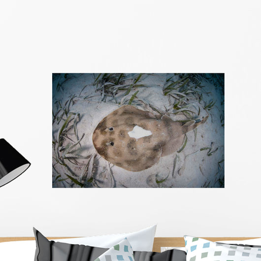 Electric Ray Seafloor Turneffe Wall Decal Design 5