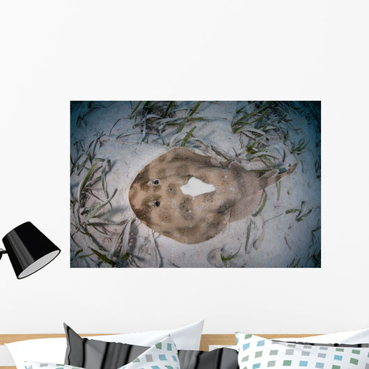 Electric Ray Seafloor Turneffe Wall Decal Design 5