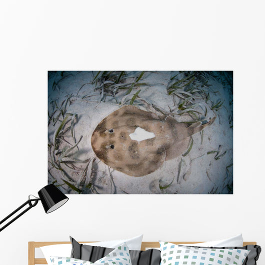 Electric Ray Seafloor Turneffe Wall Decal Design 5