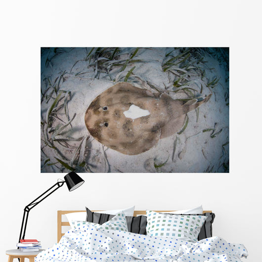 Electric Ray Seafloor Turneffe Wall Decal Design 5