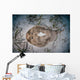 Electric Ray Seafloor Turneffe Wall Decal Design 5