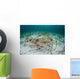 Electric Ray Seafloor Turneffe Wall Decal Design 4