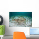 Electric Ray Seafloor Turneffe Wall Decal Design 4