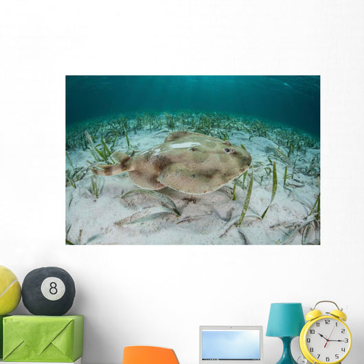 Electric Ray Seafloor Turneffe Wall Decal Design 4