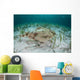 Electric Ray Seafloor Turneffe Wall Decal Design 4
