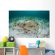 Electric Ray Seafloor Turneffe Wall Decal Design 4