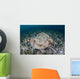 Electric Ray Seafloor Turneffe Wall Decal Design 3