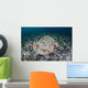Electric Ray Seafloor Turneffe Wall Decal Design 3