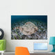 Electric Ray Seafloor Turneffe Wall Decal Design 3