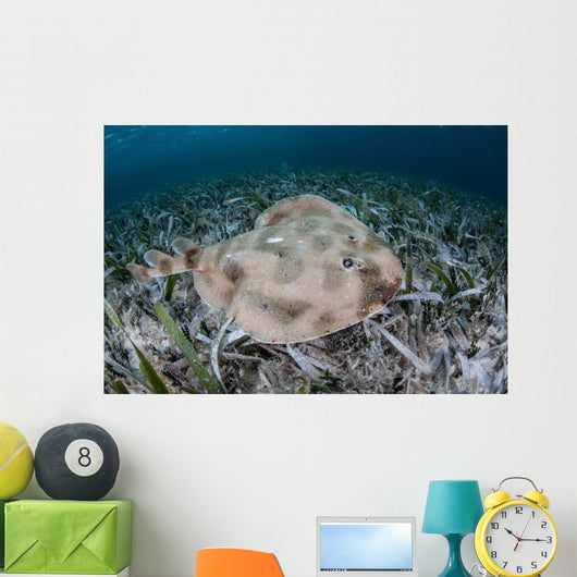 Electric Ray Seafloor Turneffe Wall Decal Design 3