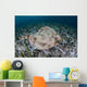 Electric Ray Seafloor Turneffe Wall Decal Design 3