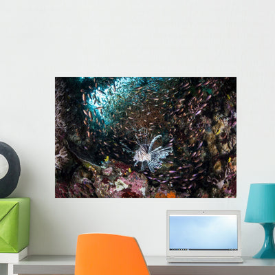 Lionfish Hunts for Prey Wall Decal Design 2 shown on a wall