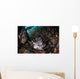 Lionfish Hunts for Prey Wall Decal Design 1
