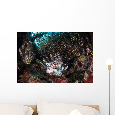 Lionfish Hunts for Prey Wall Decal Design 1 shown on a wall