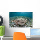 Electric Ray Seafloor Turneffe Wall Decal Design 2