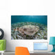 Electric Ray Seafloor Turneffe Wall Decal Design 2