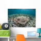 Electric Ray Seafloor Turneffe Wall Decal Design 2