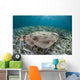 Electric Ray Seafloor Turneffe Wall Decal Design 2