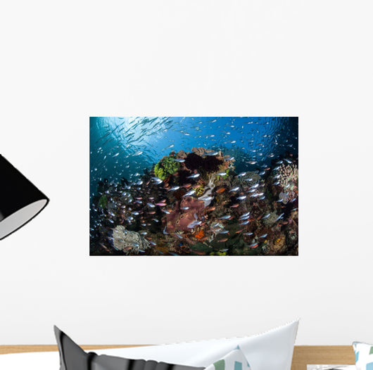 Colorful Coral Reef Is Wall Decal Design 5