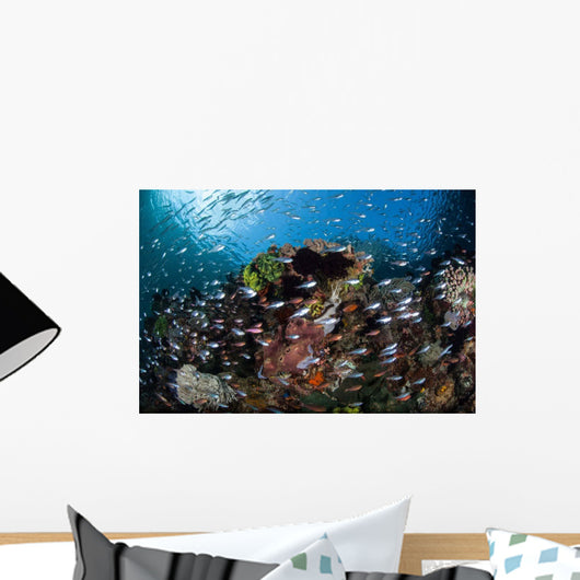 Colorful Coral Reef Is Wall Decal Design 5
