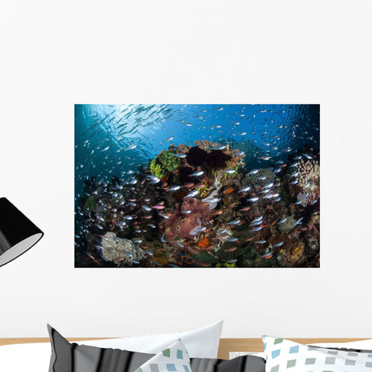 Colorful Coral Reef Is Wall Decal Design 5