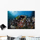 Colorful Coral Reef Is Wall Decal Design 5